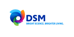 DSM帝斯曼